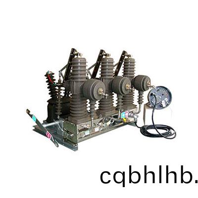 ZW32-24F智能(neng)分界真(zhen)空(kong)斷路器（看門狗(gou)）