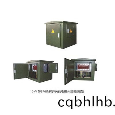 10KV帶SF6開(kai)關(guan)分接(jie)箱